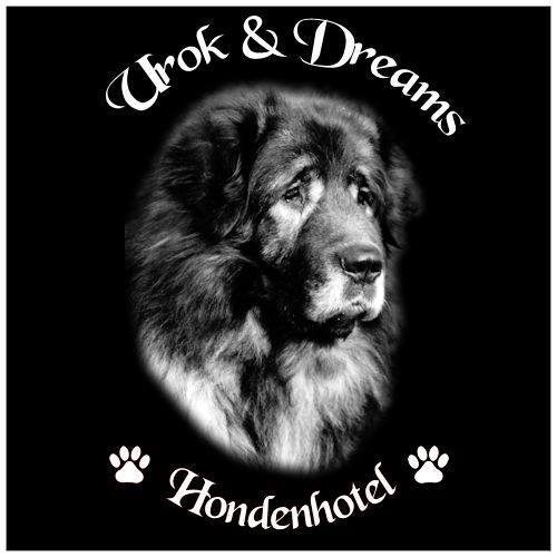 Urok&Dreams